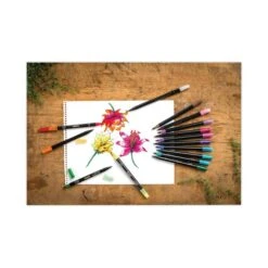 Crayola Brush & Detail Dual Ended Markers, X-Fine Brush/Bullet Tip, Astd, PK16 -Crayola Sales Essendant20Inc CYO586501xx07xxb1e753